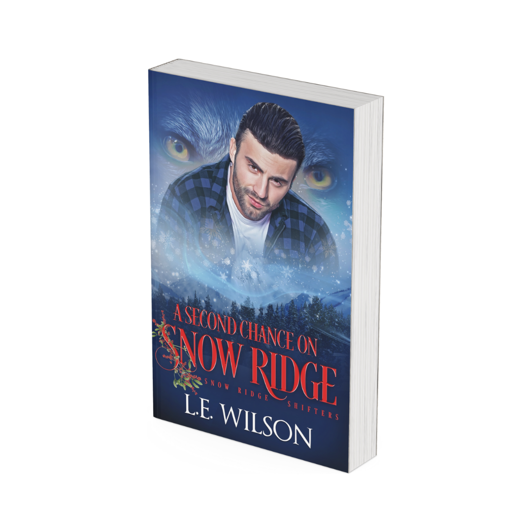 A Second Chance On Snow Ridge (paperback)