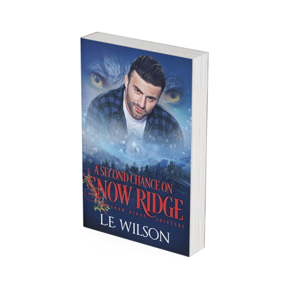 A Second Chance On Snow Ridge (paperback)