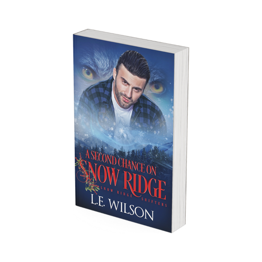 A Second Chance On Snow Ridge (paperback)
