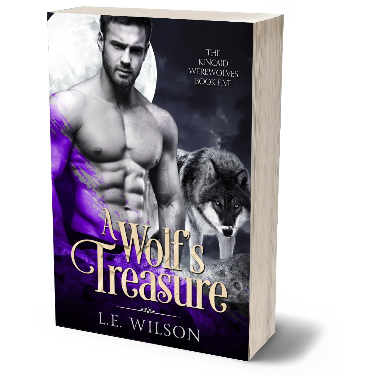 A Wolfs Treasure Paperback